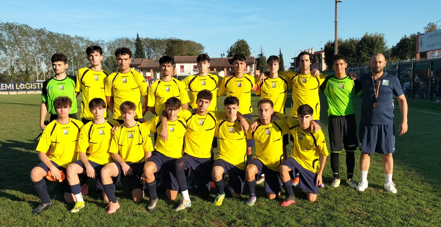 f1aa6c67-46ed-4090-9233-03e5ff2c282b